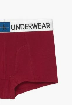 Calvin Klein Underwear Bas Prix 2 PACK - Shorty sous-vêtements et peignoirs normale enfant -France Calvin Klein Underwear Soldes Boutique 2f842769fcd84aaab0c8bb583d8a2407