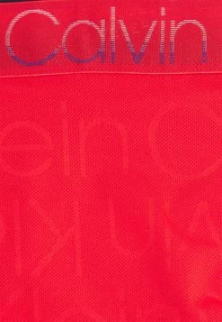 Bon Rapport Coût-Efficacité Calvin Klein Underwear CHILL LOGO LOW RISE TRUNK - Shorty sous-vêtements basse homme -France Calvin Klein Underwear Soldes Boutique 316d9b8a96364538a2a9ebfbd62dca1e