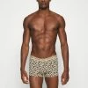Bonne Qualité Calvin Klein Underwear TRUNK 2 PACK - Shorty sous-vêtements & chaussettes normale homme -France Calvin Klein Underwear Soldes Boutique 3761e3a016b64cd086aa6814601b5eed