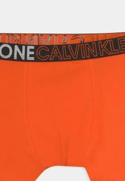 Prix Légers Calvin Klein Underwear 2 PACK - Shorty sous-vêtements et peignoirs normale enfant -France Calvin Klein Underwear Soldes Boutique 402dfa0e1f5040409c85264a1fde893f