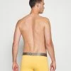 Bonne Qualité Calvin Klein Underwear TRUNK - Shorty sous-vêtements normale homme -France Calvin Klein Underwear Soldes Boutique 9d04933ada494e0691eda6bd251ec80e