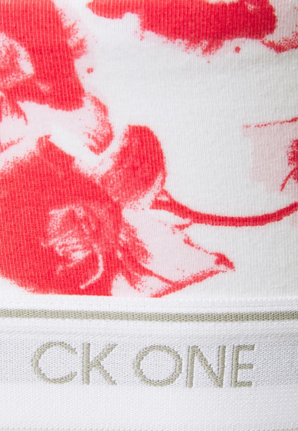 Calvin Klein Underwear Un Tarif Préférentiel ONE PLUS SIZE LINED BRALETTE - Brassière lingerie ampliforme femme 6 Calvin Klein Underwear Un Tarif Préférentiel ONE PLUS SIZE LINED BRALETTE - Brassière lingerie ampliforme femme – Image 4